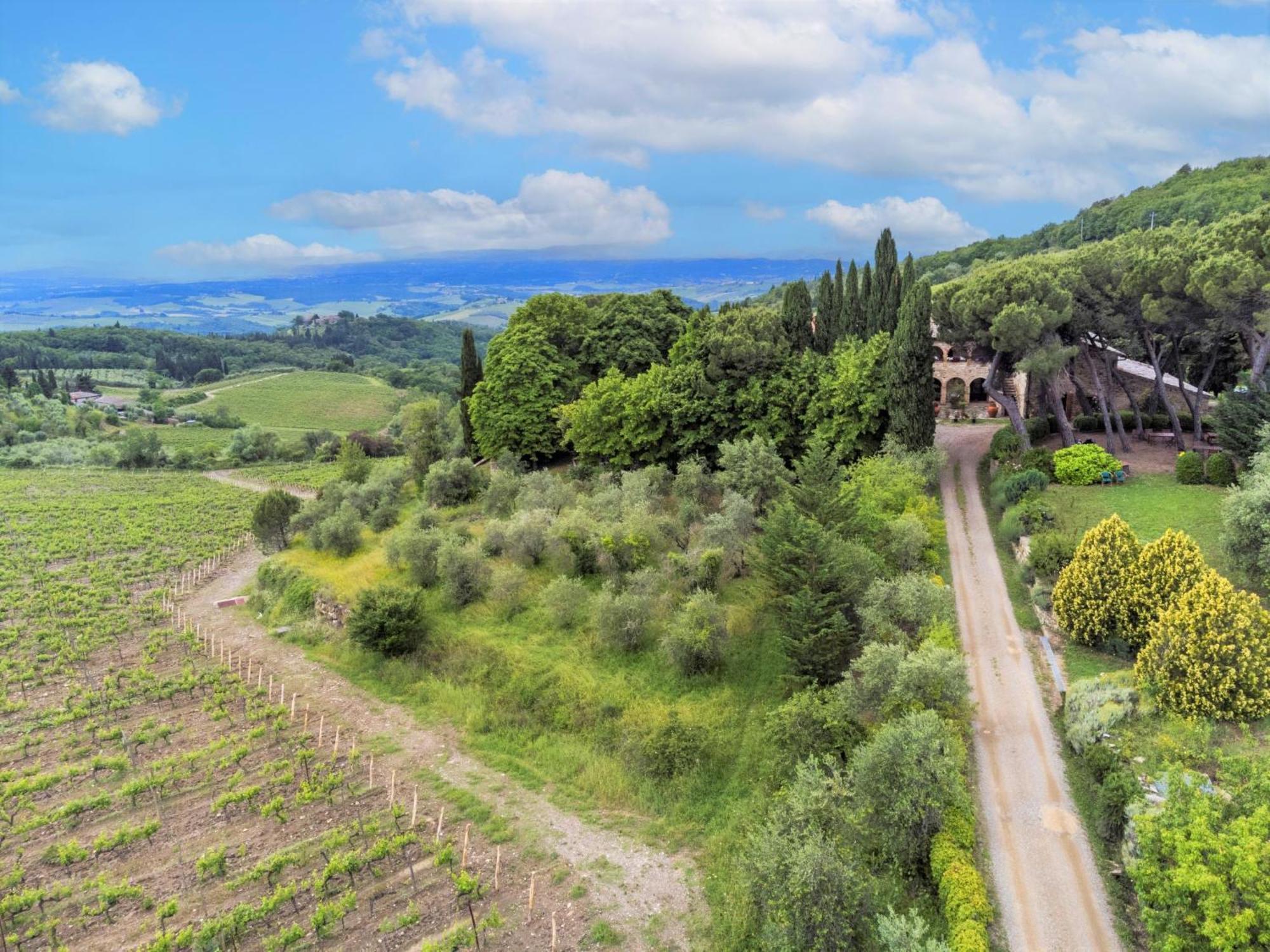 Apartment Cellole - Torretta - Ctc153 By Interhome Castellina in Chianti Exterior photo